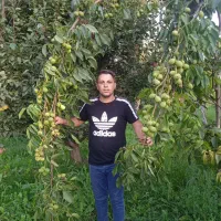 نهال به اصفهان