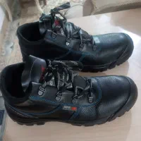 کفش کارایمنی