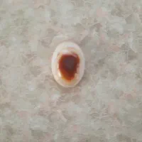 سنگ سلیمانی