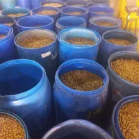 فروش زیتون طارم نقدی|خوردنی و آشامیدنی|طارم, |دیوار