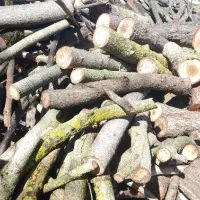 استخدام انباردار آقا در تنکابن