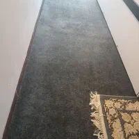 موکت نو اصلا پانخورده
