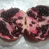 فروش انواع نهال انار ۳ ساله میخوش