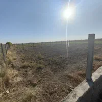 زمین پیشوا|فروش زمین و ملک کلنگی|شریف‌آباد, |دیوار