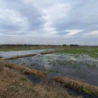 فروش-شالیزار-مکانیزه