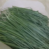 سبزی خورشتی،ترشی ،سمبوسه پیتزایی،خمیر فلافل