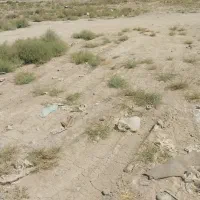 زمین مسکونی