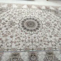 فرش ۱۲متری|فرش|مشهد, طبرسی شمالی|دیوار