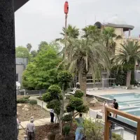 پیوندی با طبیعت اجرای محوطه های سبز