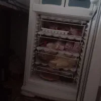 یخچال فریزز|یخچال و فریزر|مشهد, امیریه|دیوار