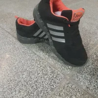 چند عدد کتونی خوب قیمت مناسب|کیف، کفش، کمربند|اردبیل, |دیوار