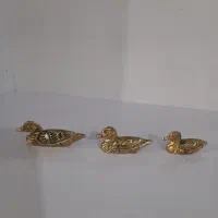 مرغابی برنز