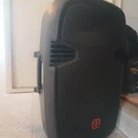 باند پسیو حرفه ای تندر ۱۵ اینچ ۱۰۰۰ وات