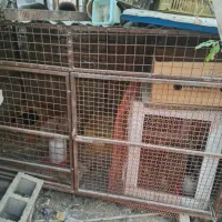 قفس مرغ خروس|لوازم جانبی حیوانات|شیراز, رکنآباد|دیوار