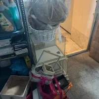 باکس شیشه ای و باکس گل