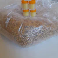 فروش ژل رویال