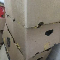 کارتن اسباب کشی