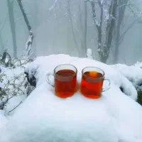 طبیعت گردی،