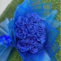 تخفیفات گل ربانی