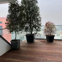 145*187مترفرشته نوساز*برج باغ مدرن*مشاعات هتلینگ|اجارهٔ آپارتمان|تهران, الهیه|دیوار