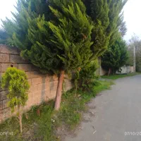 177-متر-مسکونی-محصور-با-کنتور-برق-و-چاه-آب-و-سند