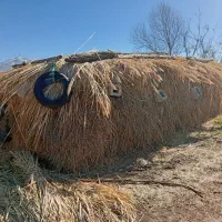 گاوگوسفند|لوازم جانبی حیوانات|سیلوانه, |دیوار