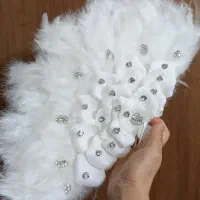 ست بادبزن پر و گوشواره، نقاب عکاسی