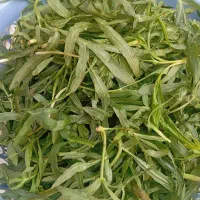 غازیاغی تازه