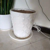 گلدان سرامیکی به همراه زیر گلدانی پلاستیکی