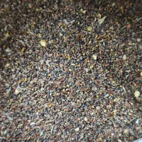 کتانه مرغی درجه یک