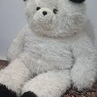 خرس بزرگ