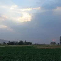 باغ-با-امکانات-و-نزدیک-تهران-و-کرج