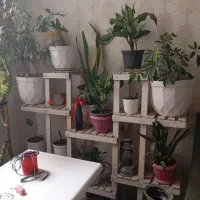 استند گل پایه دار