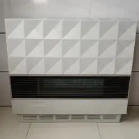 بخاری 10000 ارج