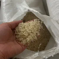 برنج شمال و رب انار محلی|خوردنی و آشامیدنی|مشهد, کوشش|دیوار