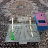 قفس پرنده با لوازم|لوازم جانبی حیوانات|اردبیل, |دیوار