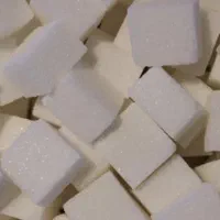 ویزیتور (کاتالوگ دوم)