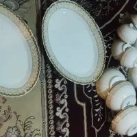 ظروف چینی مرجان