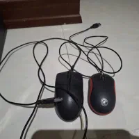 ماوس