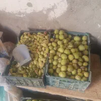 گردو سبز