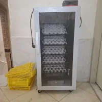 دستگاه جوجه کشی