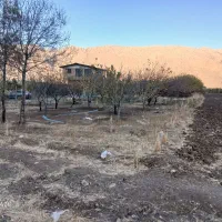 باغ|فروش زمین و ملک کلنگی|کرمانشاه, |دیوار