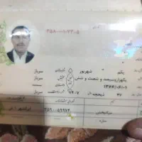 پیداشده