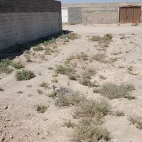 زمین-و-باغ-باغچه