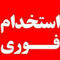 استخدام نماینده پیمانکار