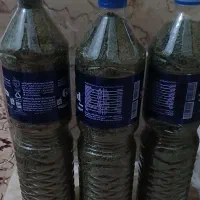نعنا و خالیواش