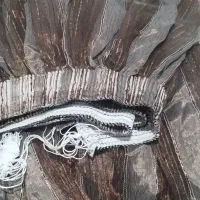 پرده