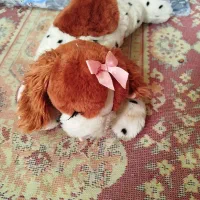 خرس های خارجی|اسباب‌‌بازی|اهواز, کمپلو شمالی|دیوار