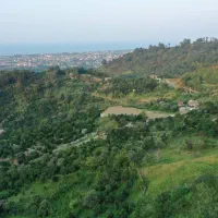 1100متر مشارکت مسکونی جنگلی ویو زیبا دریا