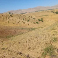 فروش زمین ۴۱۵۳ متری|فروش زمین و ملک کلنگی|سپیدان, |دیوار